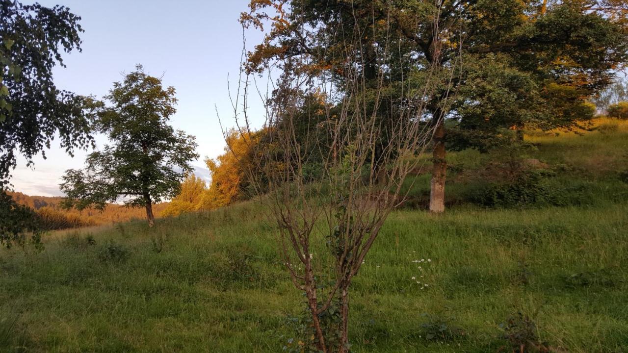 Ma Roulotte Sous Les Chenes- Au Naturel Raon-aux-Bois Exteriér fotografie